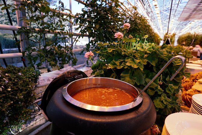 Golden Circle with Tomato Farm Lunch & Secret Lagoon Bathing - What the $229 price really covers