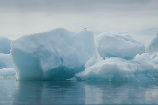 Guided Glacier Lagoon and Diamond Beach Day Trip from Reykjavik - The northern lights bonus