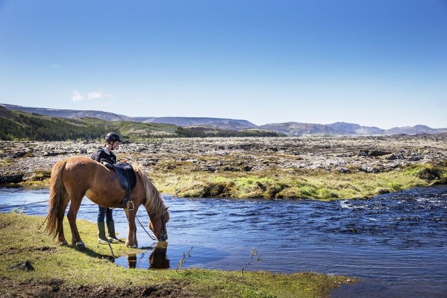 Hafnarfjörður: Horseback Riding Tour in Reykjavik Area - Key points to know before you saddle up