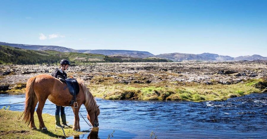 Hafnarfjörður: Horseback Riding Tour in Reykjavik Area - Riding Icelandic horses near Hafnarfjörður
