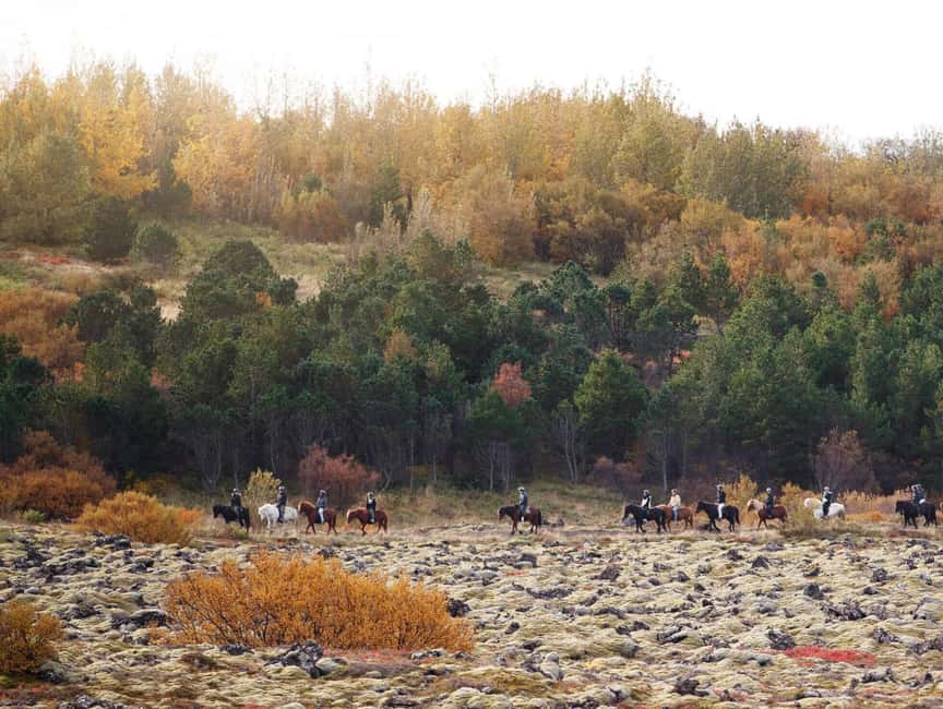 Hafnarfjörður: Horseback Riding Tour in Reykjavik Area - Guide quality and group size