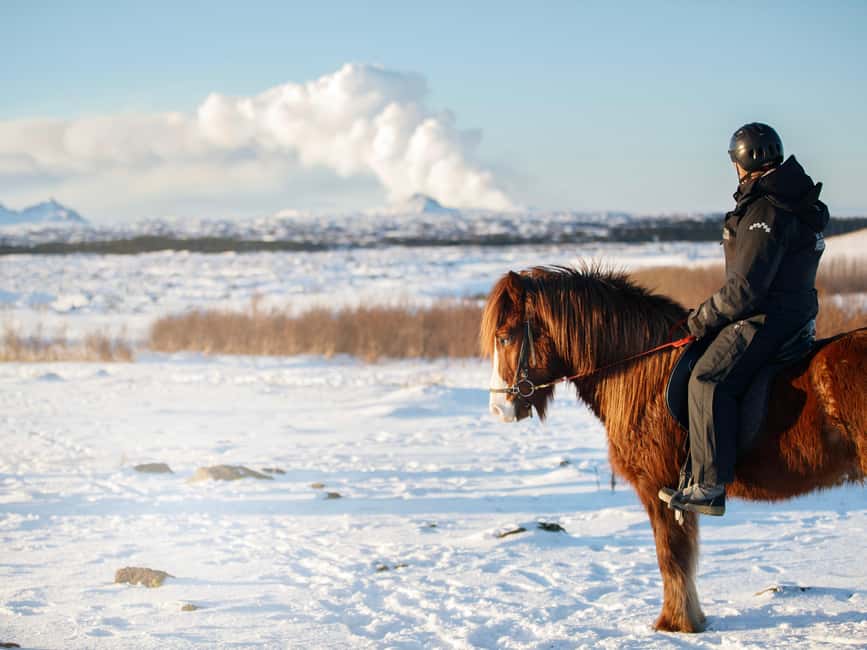 Hafnarfjörður: Horseback Riding Tour in Reykjavik Area - Practical timing and booking advice