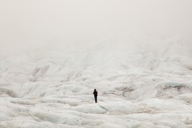 Half-Day Vatnajokull Glacier Small Group Tour from Skaftafell - From Skaftafell to the edge of Falljökull