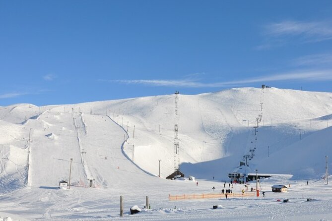 Helicopter tour from Reykjavik: Hengill Area with at site landing - Hengill landing: the reason to book