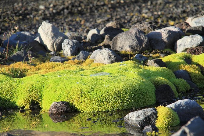 Highlights of Iceland / private guided super Jeep tour - Deildartunguhver and Iceland’s working hot water