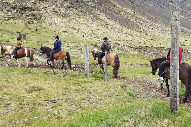 Horse Riding Tour in Reykjadalur (Smoky Valley)-All Riding Levels - Getting ready with supplied riding gear
