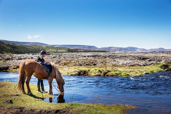 Horseback Riding Tour in Iceland - Riding Icelandic horses near Reykjavik
