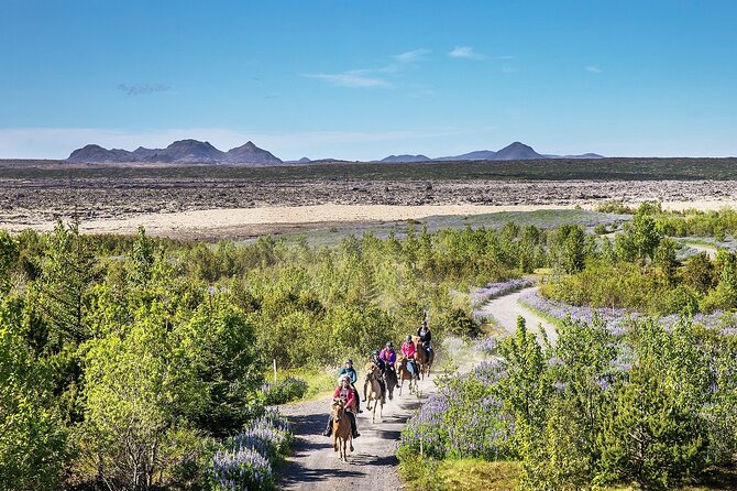 Horseback Riding Tour in Iceland - Across moss-covered lava fields