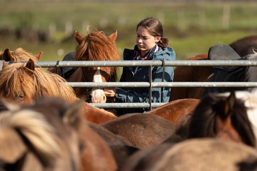 Hveragerdi: Countryside Charm Horse Riding Tour - Key points at a glance