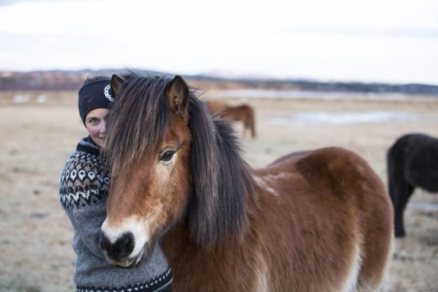 Hveragerdi: Countryside Charm Horse Riding Tour - Practical planning for your day