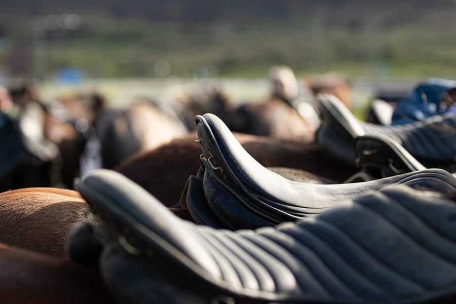 Hveragerdi: Countryside Charm Horse Riding Tour - Meeting the horses at Vellir farm