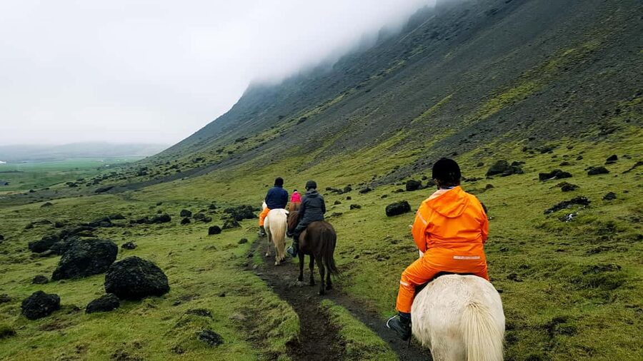 Hveragerði: Horseback Riding Tour for Beginners and … - What the small-group format changes