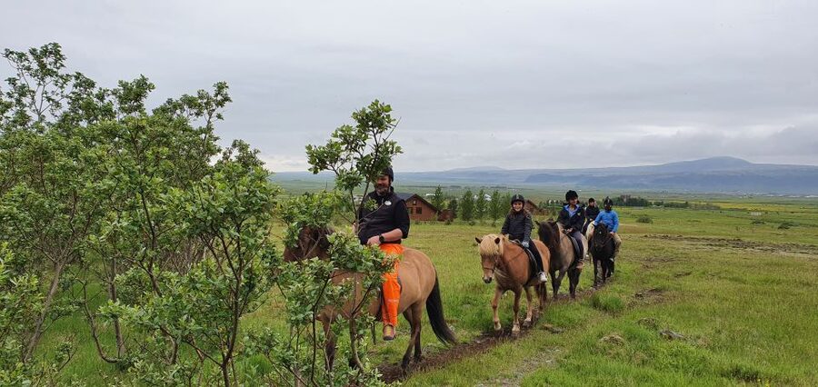 Hveragerdi: Reykjadalur (Hotspring Valley) Horse Riding Tour - What the 1.5-hour ride feels like