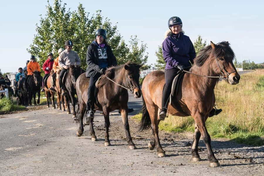 Hveragerdi: The Siggi Horse Riding Tour - Why this countryside ride feels different