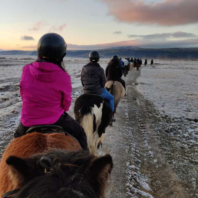 Hveragerdi: The Siggi Horse Riding Tour - Learning the Icelandic tölt