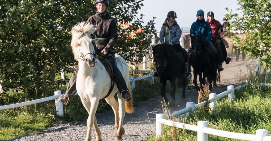 Hveragerdi: The Siggi Horse Riding Tour - A working view of Icelandic farm country