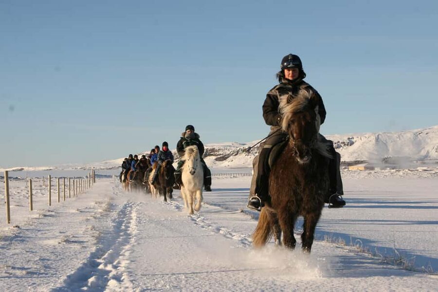 Hveragerdi: The Siggi Horse Riding Tour - Who will enjoy this ride most