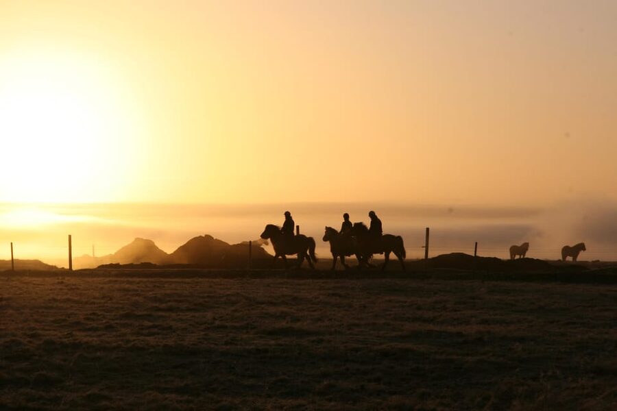 Hveragerdi: The Siggi Horse Riding Tour - Getting from Reykjavík to the farm
