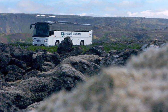 Iceland: Airport Transfers between Keflavík and Reykjavik Center - Walking from arrivals to the Flybus