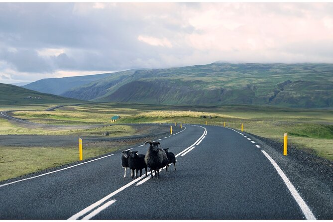 Iceland South Coast Tour with Pickup - Vik and the church viewpoint