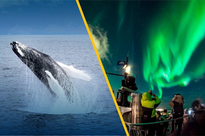 Iceland Super Saver: Northern Lights Cruise plus Whale-Watching Tour from Reykjavik - The 2.5-hour Northern Lights cruise