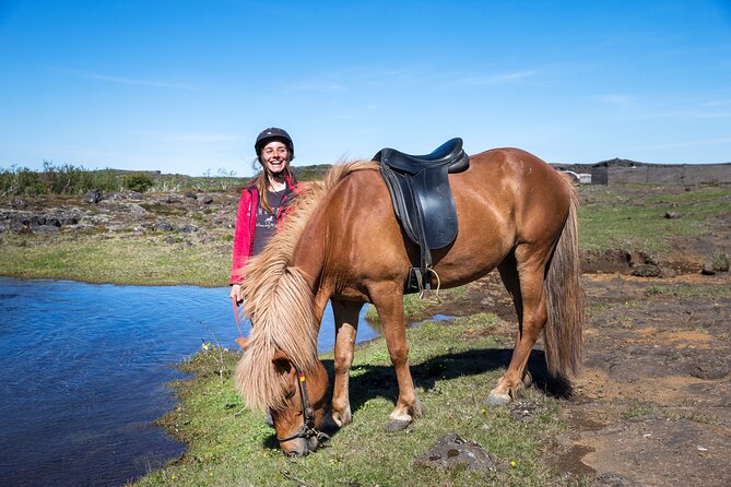 Icelandic Horse Riding and Whale Watching Tour from Reykjavik - Weather, sightings, and the free retry