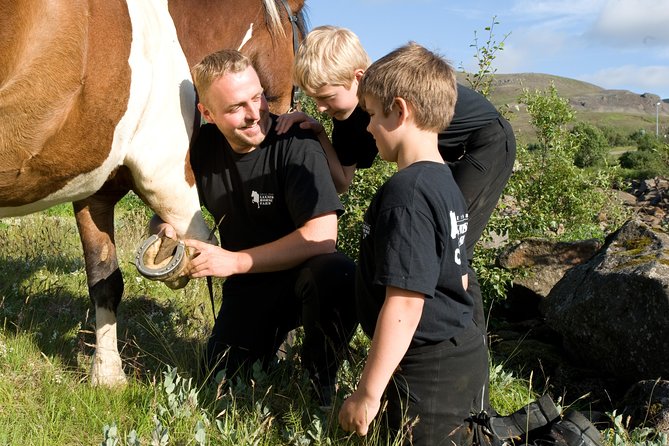 Icelandic Horseback Riding Tour Including Pick Up from Reykjavik - Riding through streams, lava fields, and mountain views