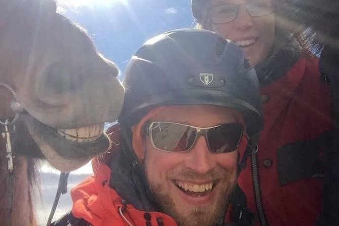 Icelandic Horseback Riding Tour Including Pick Up from Reykjavik - The Icelandic horse’s smooth tolt