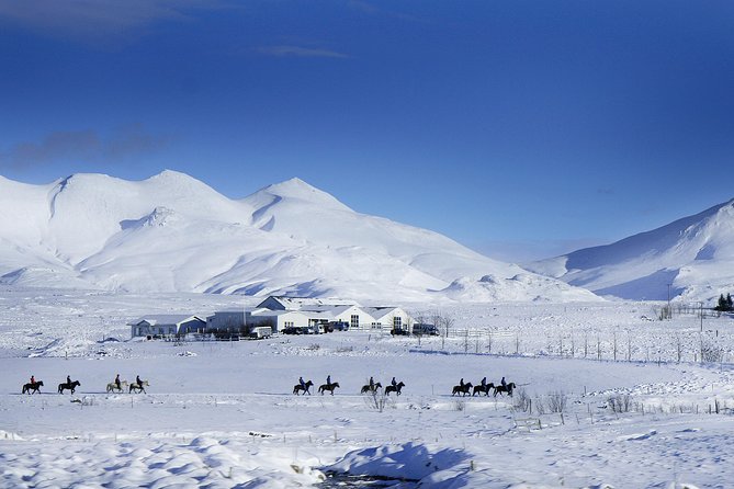 Icelandic Horseback Riding Tour Including Pick Up from Reykjavik - Warm drinks and a friendly farm welcome