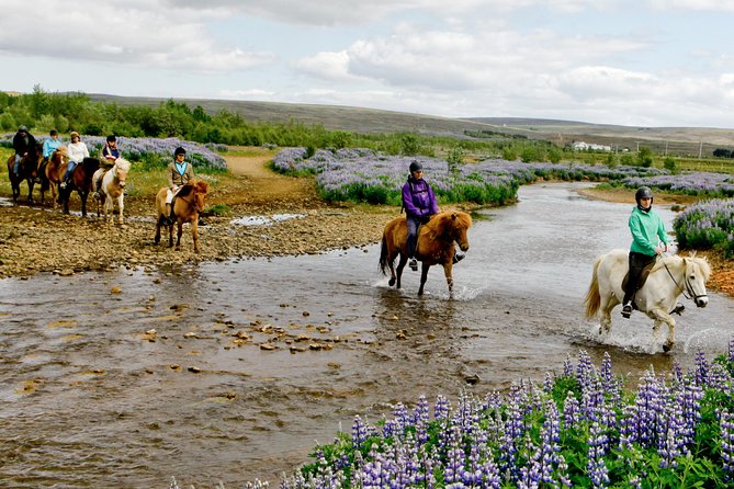 Icelandic Horseback Riding Tour Including Pick Up from Reykjavik - Leaving Reykjavik for the farm