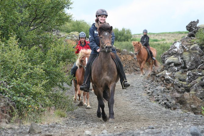 Icelandic Horseback Riding Tour with Pickup Option from Reykjavik - Key details before you saddle up