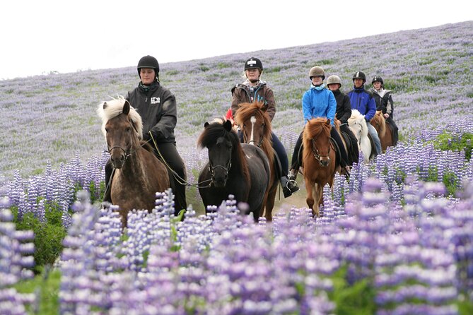 Icelandic Horseback Riding Tour with Pickup Option from Reykjavik - Warm drinks after the ride