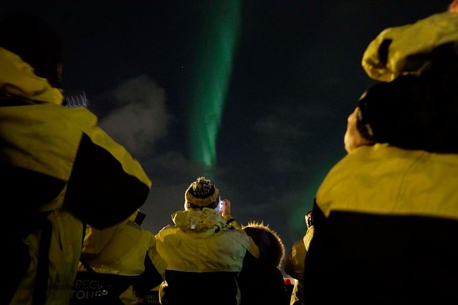 Kopar Fine Dining Dinner and Northern Lights Cruise from Reykjavik - Key points to know before booking