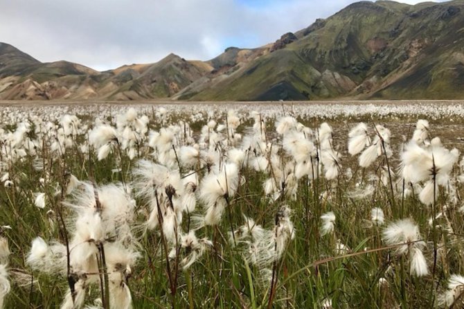 Landmannalaugar by Super Jeep - Hekla sets the tone for the day