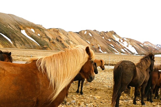 Landmannalaugar Hiking, Haifoss Waterfall and Hot Springs Tour - The early start from Reykjavik