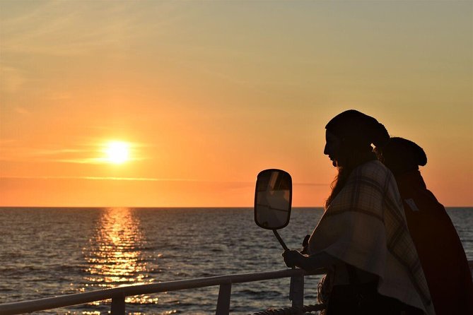 Magical Whales in the Midnight Sun | from Reykjavik - Key points to know before sailing