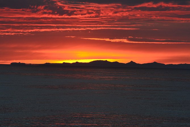 Magical Whales in the Midnight Sun | from Reykjavik - Booking, weather, and cancellations