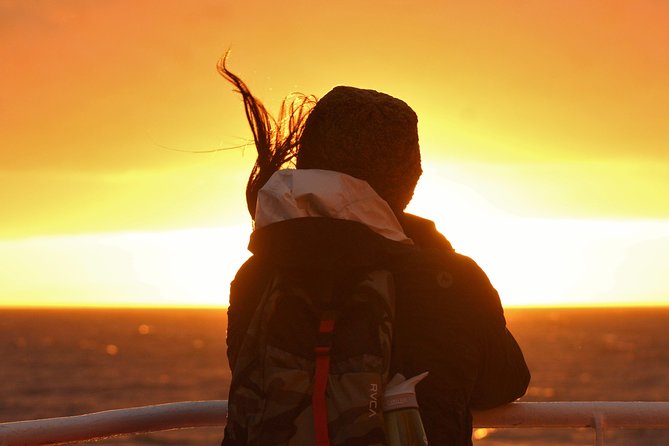 Magical Whales in the Midnight Sun | from Reykjavik - Meeting Elding at Reykjavik Old Harbour