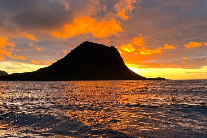 Midnight Sun Kayaking Adventure by Mt. Kirkjufell - Wildlife in the bay
