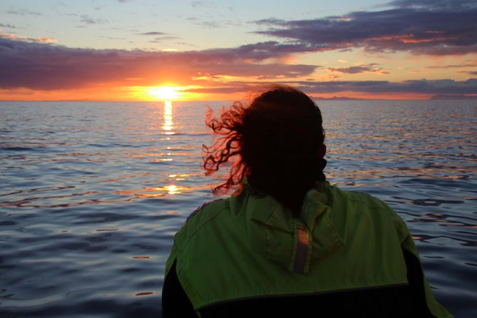 Midnight Sun Whale Watching from Reykjavik - Leaving Reykjavik’s Old Harbour at 9 pm