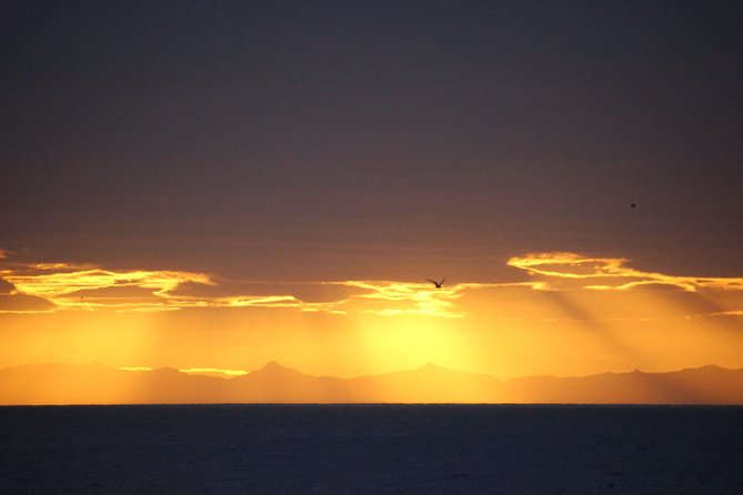 Midnight Sun Whale Watching from Reykjavik - Guides Daniel, Sophie, and Tom add different kinds of value