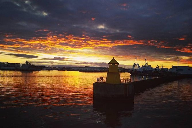 Midnight Sun Whale Watching from Reykjavik - Thermal overalls, indoor seating, and the cold-water question