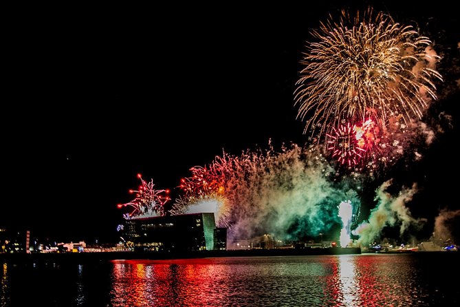 New Year's Eve Fireworks Cruise in Reykjavik - Boarding at 11 pm near Reykjavik’s harbor
