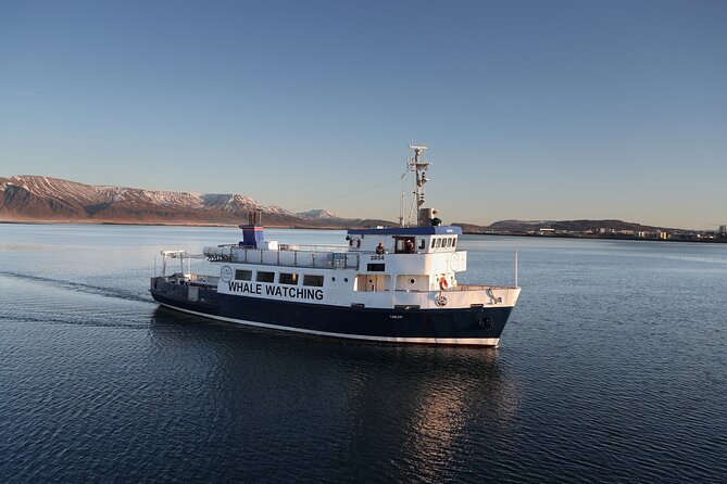 New Years Fireworks by Boat from Reykjavik - Is $166 a fair price?