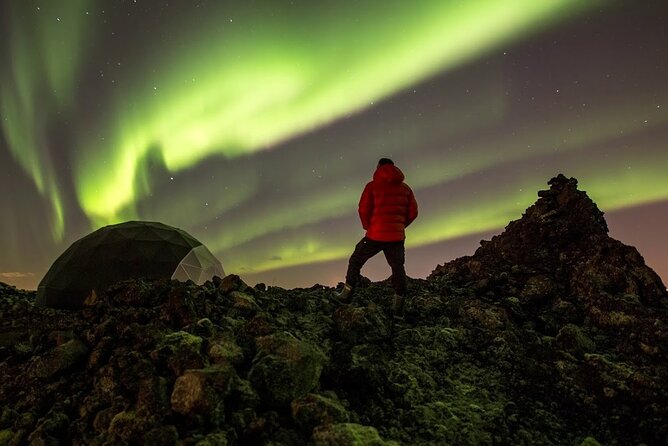 Northern Lights: Aurora Basecamp Observatory Guided Experience - The exhibition gives you a useful head start