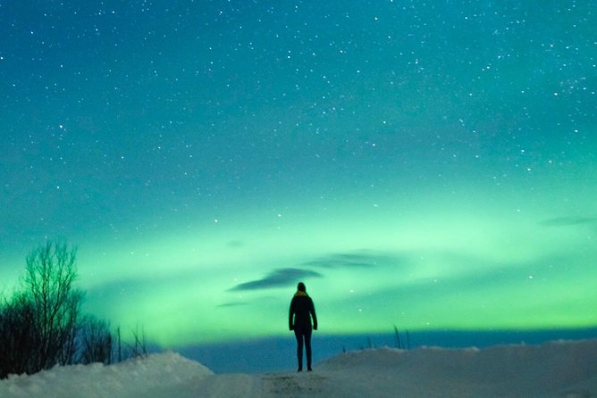 Northern Lights Bus Tour from Reykjavik with Hot Chocolate - Seeing the lights with your own eyes