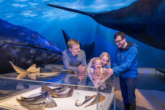 Northern Lights by Boat with a Backup Plan from Reykjavik - The free photo service and taking your own pictures
