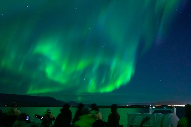 Northern Lights Cruise from Reykjavik Including Photos - Small details that improve the night