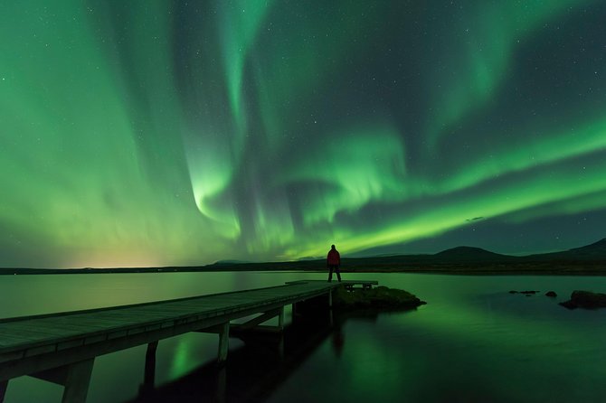Northern Lights Guided Bus Tour from Reykjavik - Seeing the aurora with your own eyes