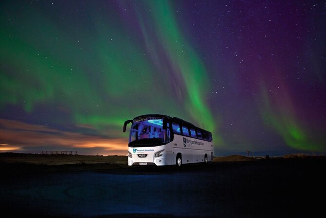 Northern Lights Guided Bus Tour from Reykjavik - Who will get the most from this outing